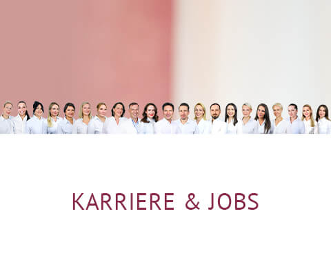 Karriere, Klinik auf der Karlshöhe, Stuttgart, Dr. Fitz 